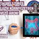 Vastagbél szűrővizsgálat Székesfehérváron